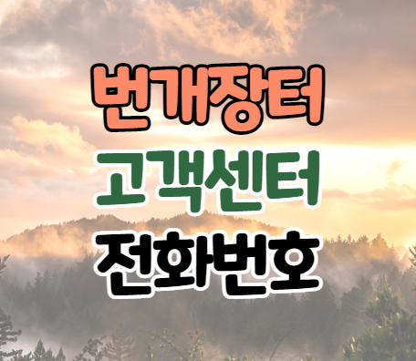 번개장터 고객센터 전화번호 이용시간 번개장터 고객센터 전화번호 이용시간