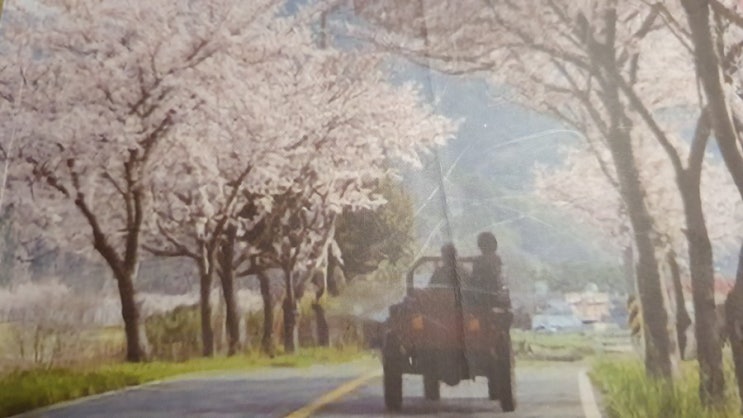  하도 별이 반짝이기에 너인 줄 알았어