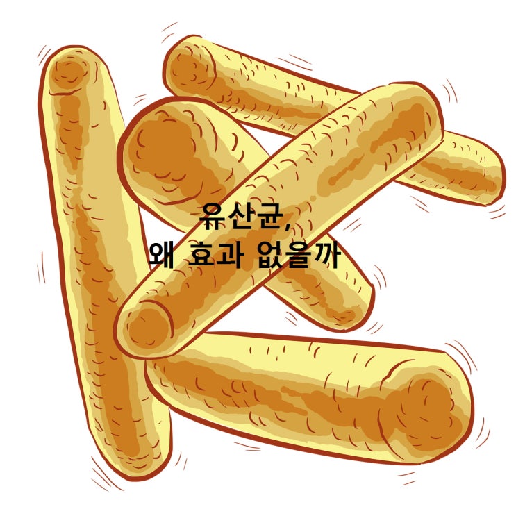  유산균, 나는 왜 효과 없을까?(1)