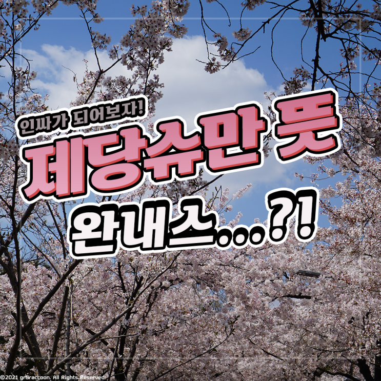  제당슈만 뜻 완내스 빠태 엉한파 다 알면 인싸!