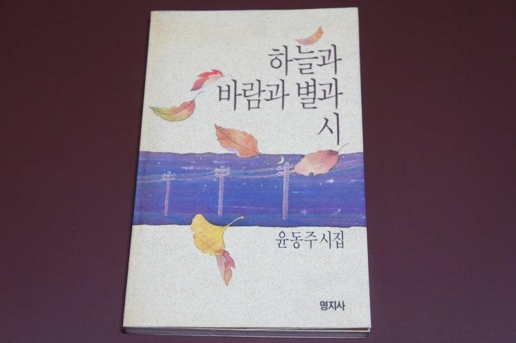  윤동주 「새로운 길」 「십자가」 「길」 감상하기