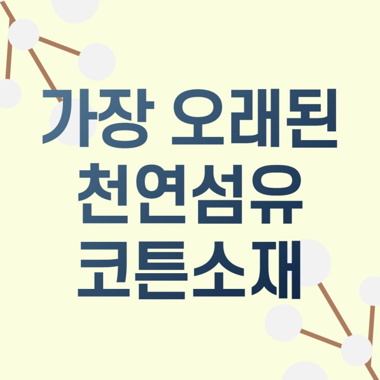  사계절 섬유 코튼소재에 대한 모든 것