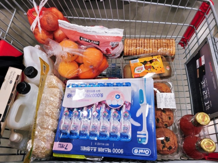  코스트코 곡물 샐러드 양도 많고 맛있어요
