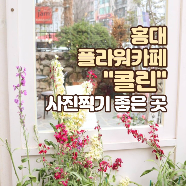  사진 찍기 좋은 홍대 플라워 카페 콜린 다녀왔어요