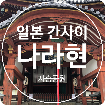  [간사이 나라 현] 문화유산의 도시 나라 - 야쿠시지, 사슴공원