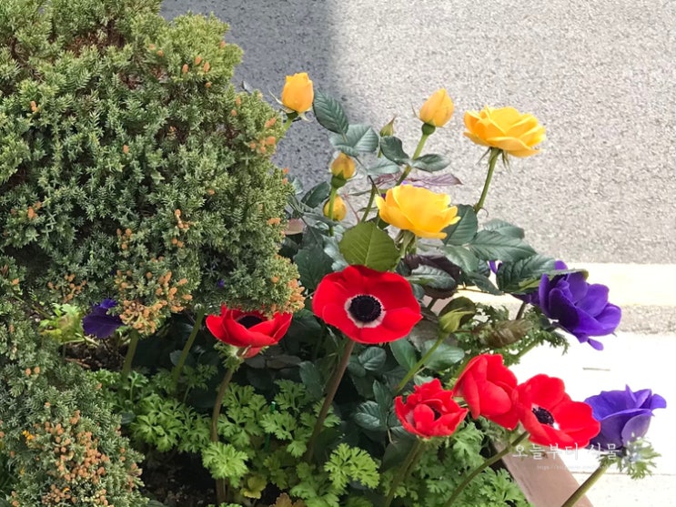  마음도 발걸음도 가벼워지게 하는 거리의 플랜트 박스(plant box)