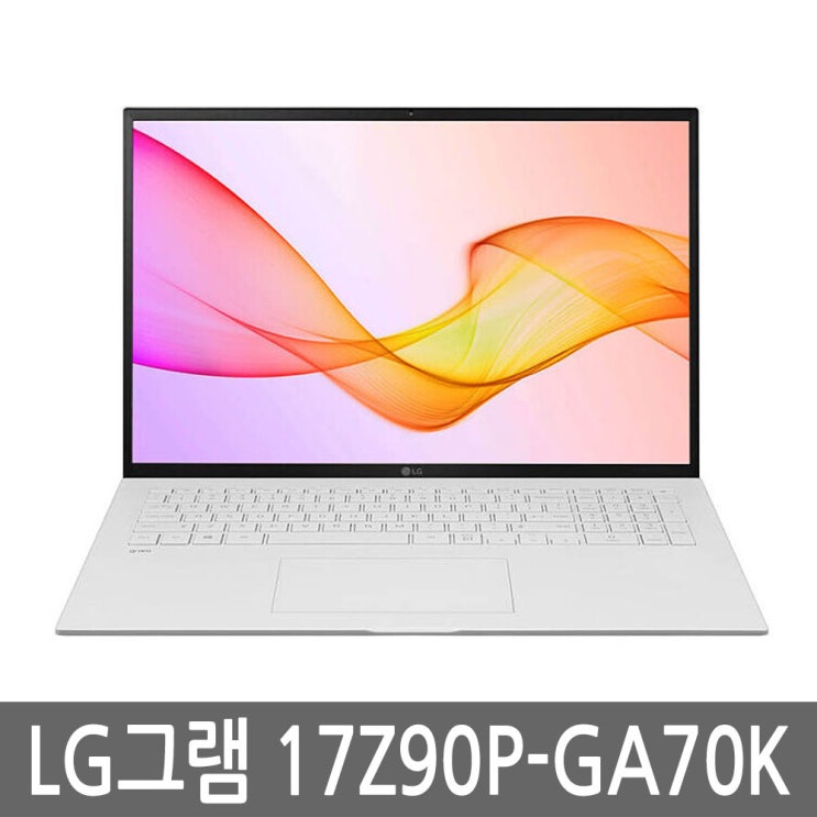 후기가 정말 좋은 LG전자 2021 그램17 17Z90P-GA70K 추천해요