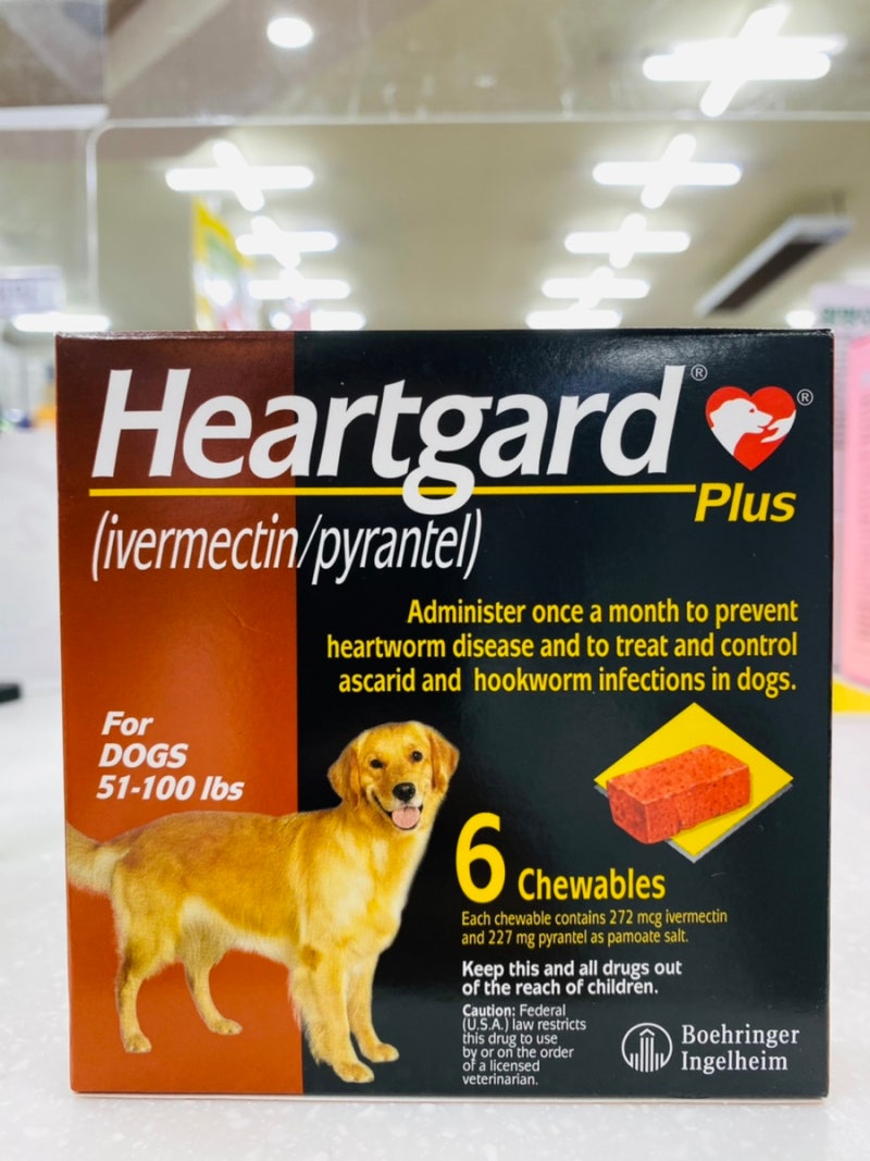 하트가드 플러스 꼭 해외직구가 답일까요? 레오아빠 동물약국 : 네이버 블로그