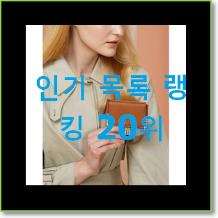  놀라운가격 메종마르지엘라카드지갑 꿀템 베스트 성능 순위 20위