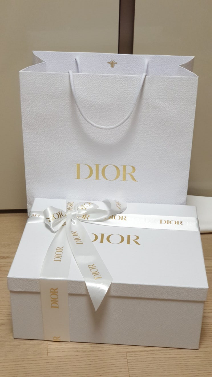 레이디디올 스몰! 아이언그레이 롯데본점 디올가방 후기