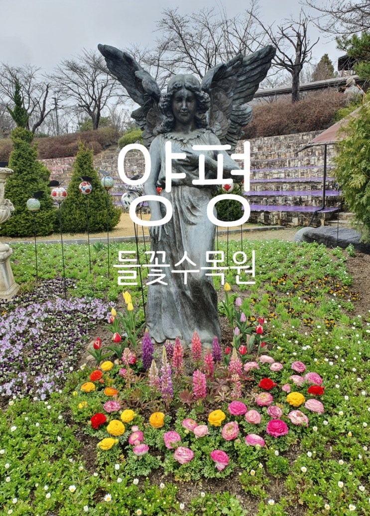  양평들꽃수목원 비누체험과 꽃구경 (feat.오리 / 양평농촌나드리 #3)