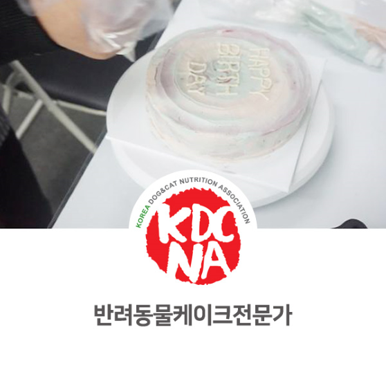  [한국반려동물영양협회/박은정펫푸드아카데미/펫영양사/전주/광주/익산/군산/대전/천안/부산/대구/펫푸드자격증] 강아지 고양이 케이크전문가 자격교육 후기_759