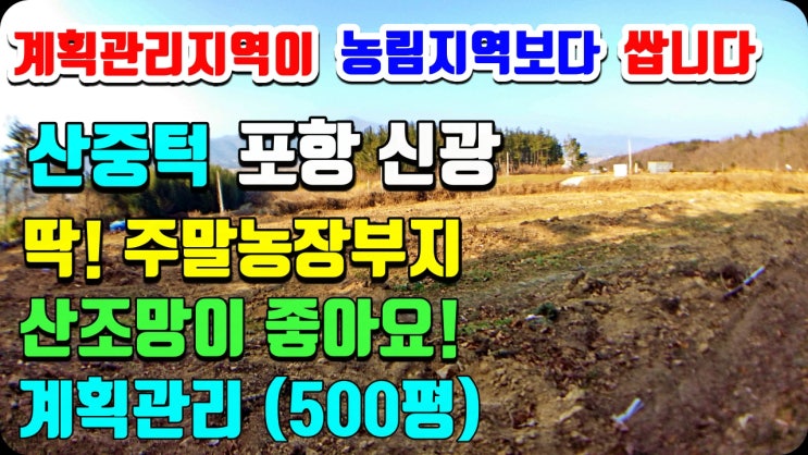 포항부동산 포항토지매매  우각리- 시원한 고지대 뷰의 주말농장 텃밭 땅매매