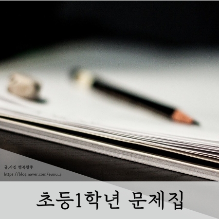  초등1학년 문제집 뿌리깊은 초등국어 독해력