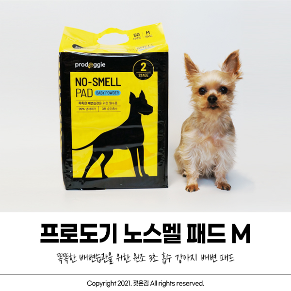 날 따듯해지면 원조 3초 흡수 강아지패드 포로도기 애견패드 써야죠! 날 따듯해지면 원조 3초 흡수 강아지패드 포로도기 애견패드 써야죠!
