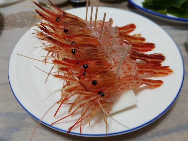  [부산 온천장 맛집] 활고등어와 꽃새우 콜라보 자연산 회 전문 횟집 "바다소리"