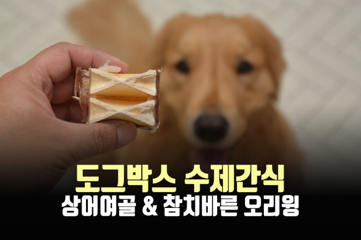  강아지수제간식 도그박스 상어연골 참치바른 오리날개
