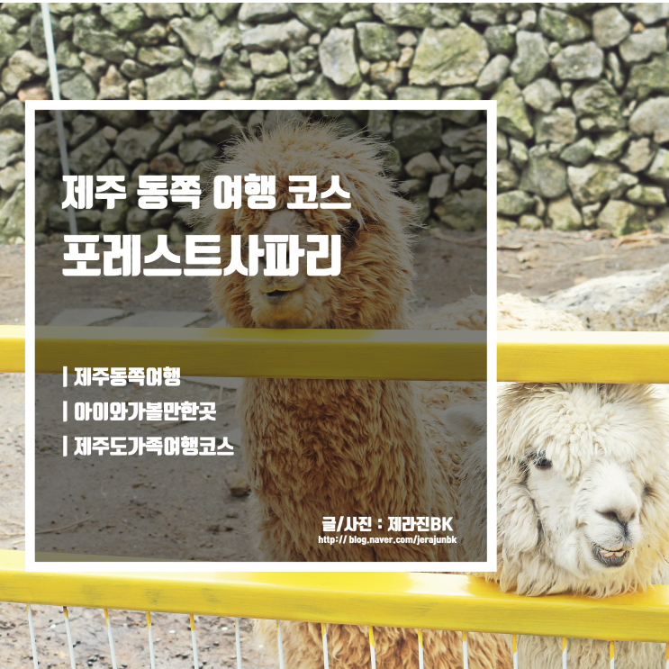 포레스트 사파리 아이를 위한 제주 동쪽 여행