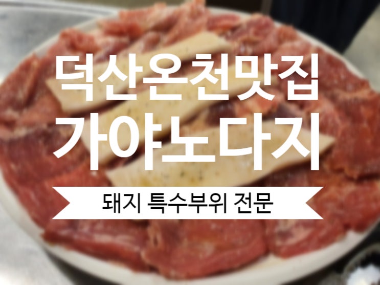  덕산온천맛집 가야노다지 : 재방문율이 높은 돼지 특수부위 전문점