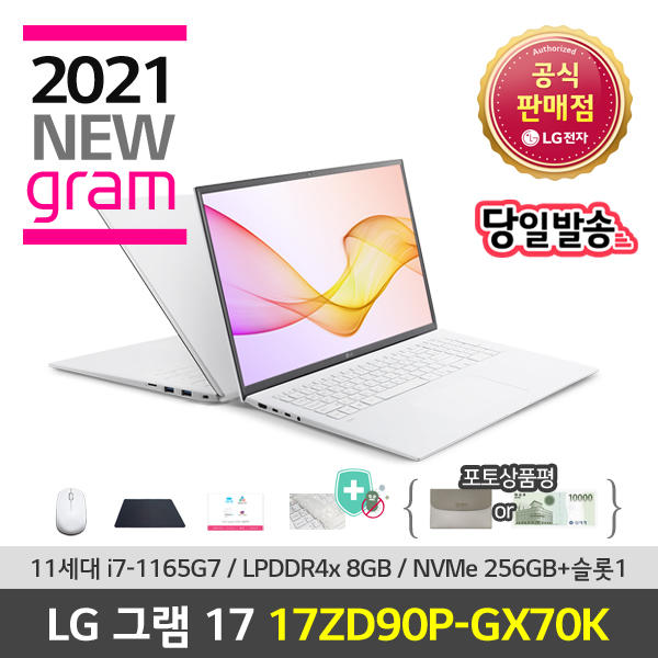 후기가 좋은 LG전자 그램 17ZD90P-GX70K, 256GB, 8GB, 미포함 추천해요