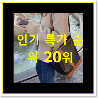  입증된 셀린느가방 가성비순위