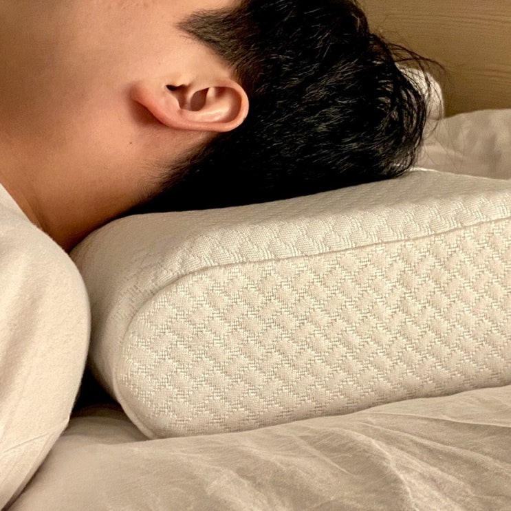  경추배게 추천, 포유 자모니 베개