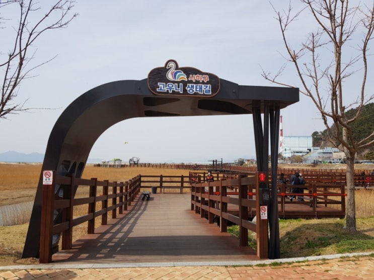  부산데이트코스/다대포해수욕장/고우니생태길/해변공원/몰운대산책로
