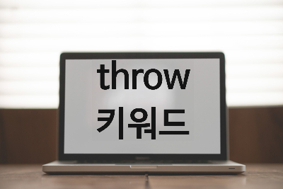  [자바스크립트] 예외 강제 발생 [throw 키워드]