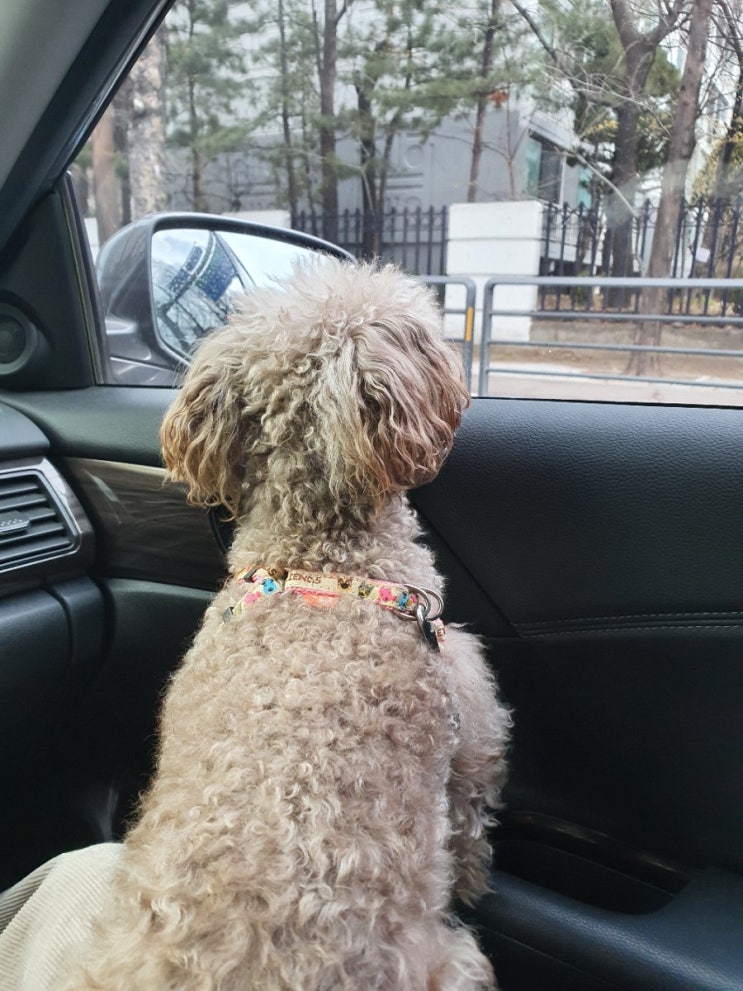  양재시민의숲 산책