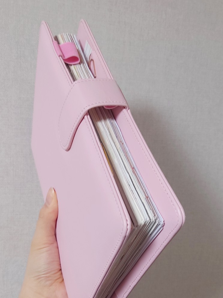 미뉴잇 A5 마카롱 다이어리 핑크 컬러 1년 동안 사용하고 1년 동안 보관한 솔직 후기