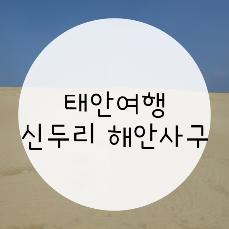 태안 여행코스 신두리 해안사구, 가볼만한 곳