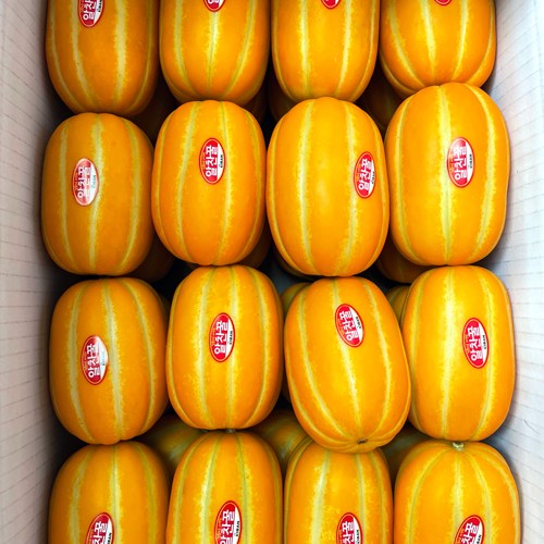 최근 인기있는 산지직송 당일수확 고당도 정품 성주 꿀 참외, 가정용 정품 성주참외 로얄과, 3kg 추천해요 최근 인기있는 산지직송 당일수확 고당도 정품 성주 꿀 참외, 가정용 정품 성주참외 로얄과, 3kg 추천해요