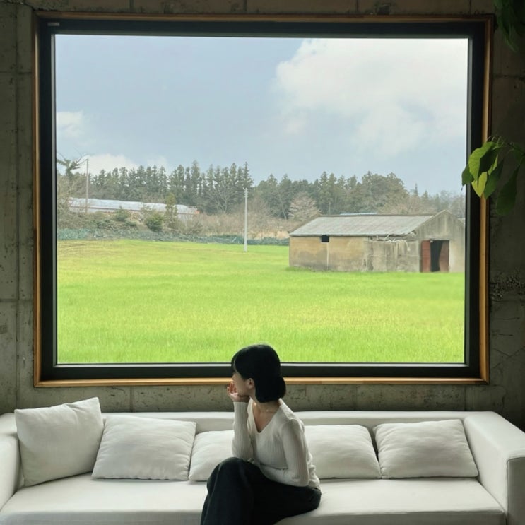  제주 카페 동백 조천읍 감성 갤러리 카페 추천