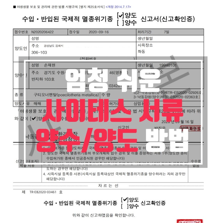  쉽고 간단한 사이테스 서류 양수/양도 방법