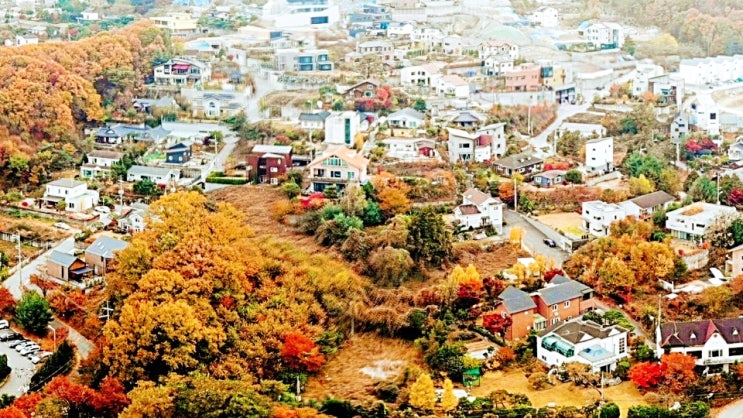 2. 종합부동산세