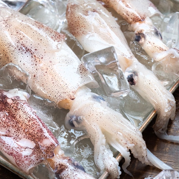 잘나가는 맛수러움 서해안 급냉 왕 꼴뚜기 호래기 500g 1kg, 1개, 대-1kg (12미내외) ··· 잘나가는 맛수러움 서해안 급냉 왕 꼴뚜기 호래기 500g 1kg, 1개, 대-1kg (12미내외) ···
