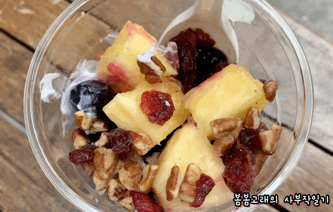  코스트코 추천템 그리고 신상 리뷰, 그릭요거트 그래놀라는 맛있어