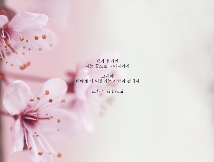  [글귀/에세이/배경화면]조화