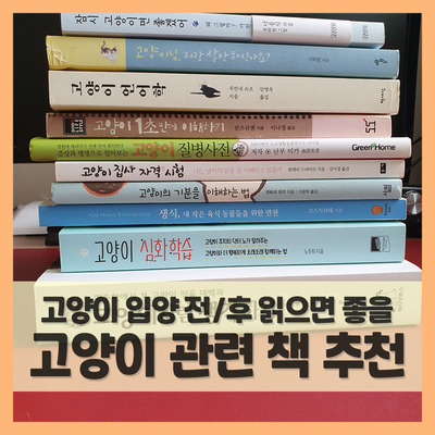  집사가 추천하는 고양이 키우기 관련 도서(f. 입양 전후 읽어보자)