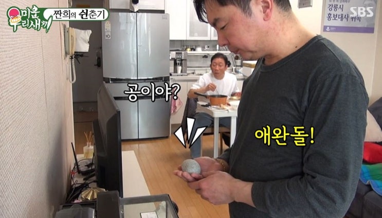  미우새 애완돌 정체가 무엇일까