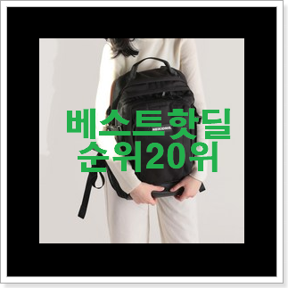 직접찾은 네이키드니스백팩 물건 가성비순위