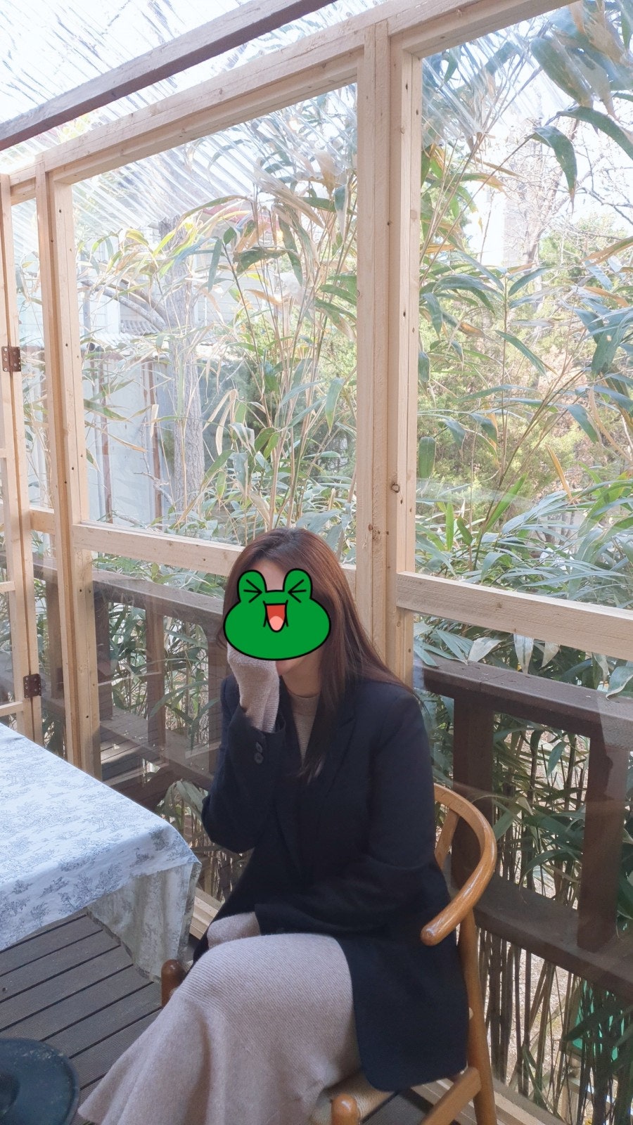 블랙벤자민 사진 3