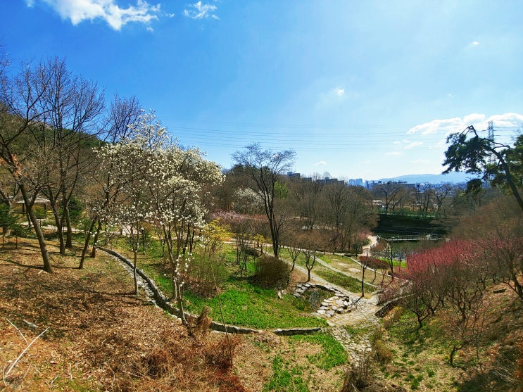  산책 코스, 워커힐 벚꽃 길까지 이어지는 아차산 영화사 둘레길