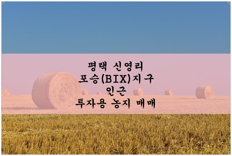  평택 신영리 포승(BIX)지구 인근 투자용 농지 매매