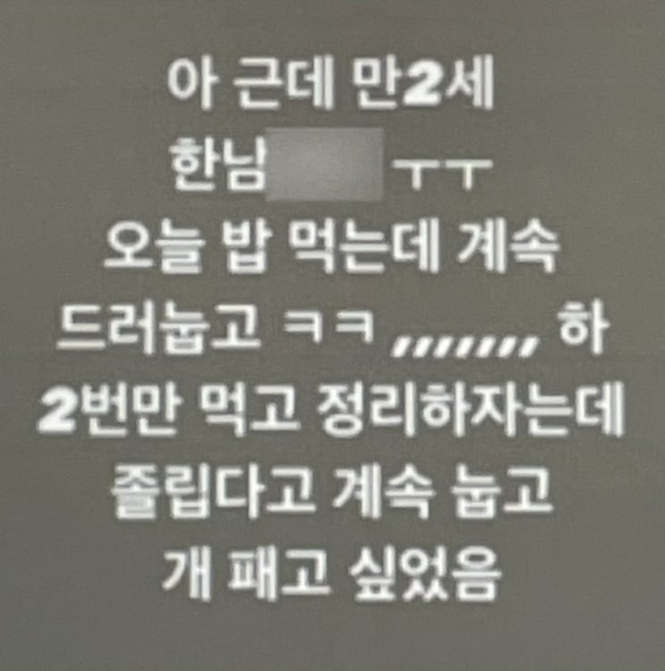 두살 한남 개패고싶다 유명보육기관 어디 대기업 국가기관 직장 어린이집을 운영 중인 곳 혐오글 논란