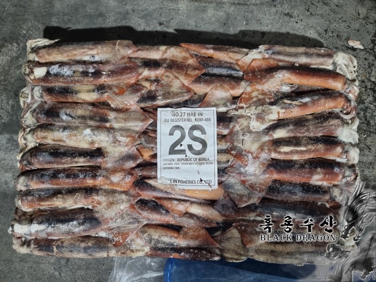 2021 원양산 포크오징어 2S _ 2021.03.29 입고 (선동, 채낚기, 해인27) _ Feat. 흑룡수산