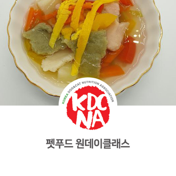  [군산/익산/전주/광주/김해/부산/제주/세종/대전/애견수제간식/펫푸드자격증] 한국반려동물영양협회 익산지부 나의반려 수제비 원데이 클래스_767