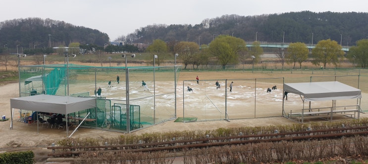  대전 서구 리틀 야구장 소금 살포 작업