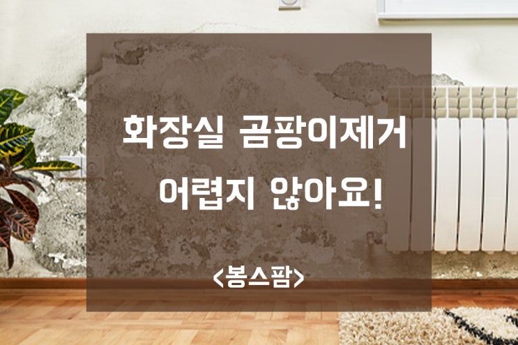 화장실 곰팡이제거 어렵지 않아요! 욕실 청소