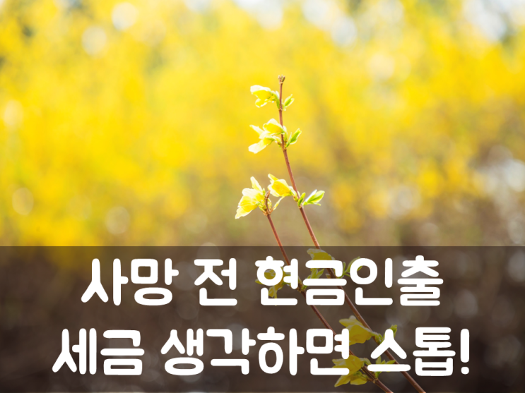  사망 전 현금인출, 세금 생각하면 스톱!